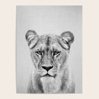Lioness - Black & White Poster Gallery Image 4