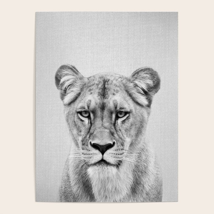 Lioness - Black & White Poster Gallery Image 4