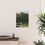 Serene Garden Chair | Tranquil Outdoor Still Life Poster Gallery Image 2