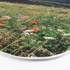 Gifford Pinchot National Forest Bath Mat Gallery Image 3
