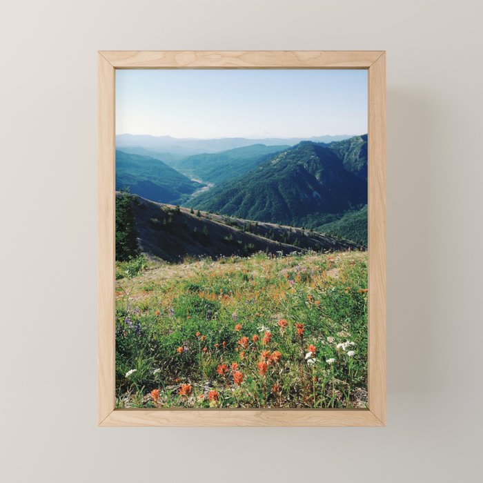 Gifford Pinchot National Forest Mini Art Print Gallery Image 1