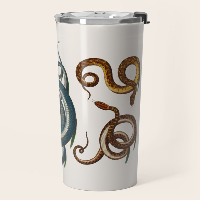 Albertus Seba Coiled Big Blue  Travel Mug Gallery Image 2