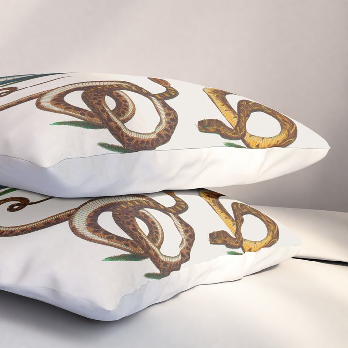 Albertus Seba Coiled Big Blue  Pillow Sham Gallery Image 3