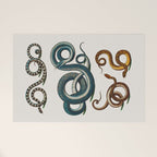 Albertus Seba Coiled Big Blue  Welcome Mat Gallery Image 1