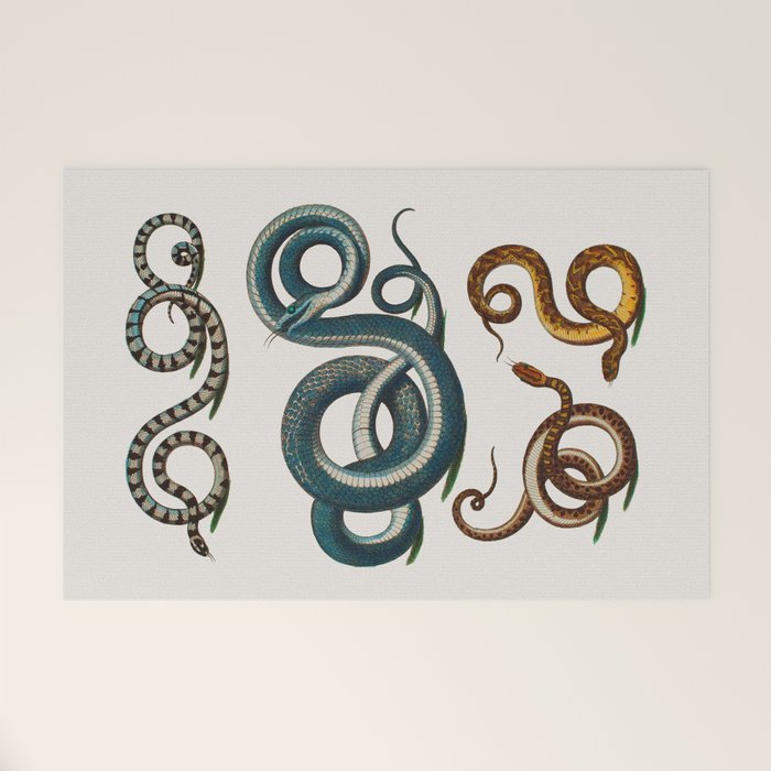 Albertus Seba Coiled Big Blue  Welcome Mat Gallery Image 1
