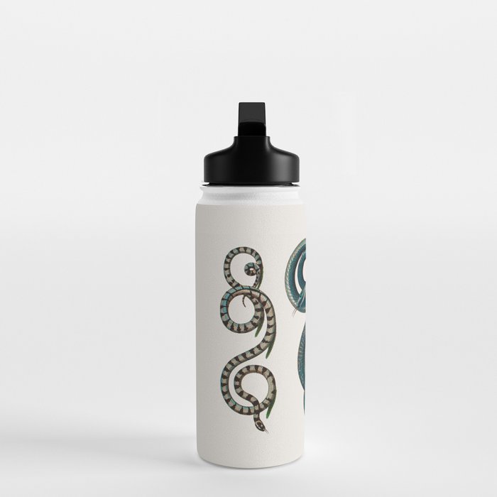 Albertus Seba Coiled Big Blue  Water Bottle Gallery Image 3