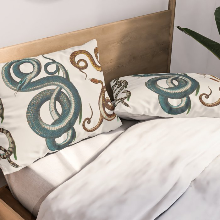 Albertus Seba Coiled Big Blue  Pillow Sham Gallery Image 2