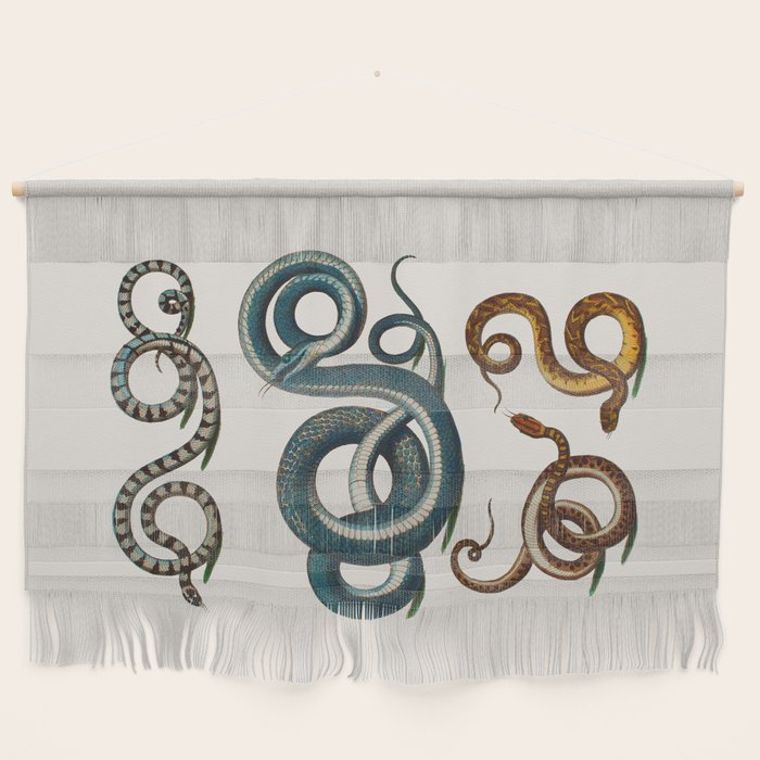 Albertus Seba Coiled Big Blue  Wall Hanging Gallery Image 1