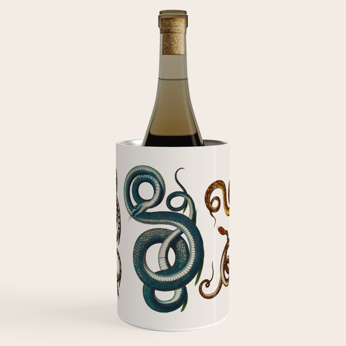 Albertus Seba Coiled Big Blue  Wine Chiller Gallery Image 1
