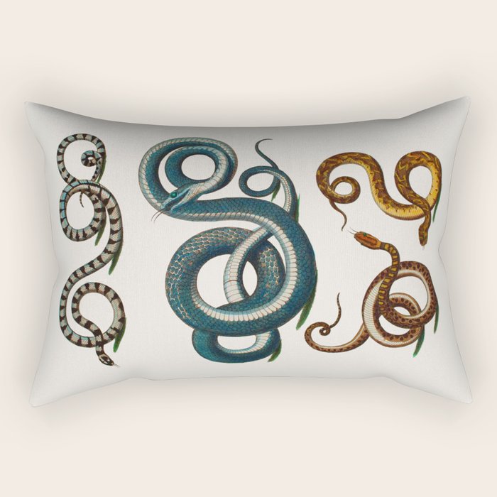 Albertus Seba Coiled Big Blue  Rectangular Pillow Gallery Image 2
