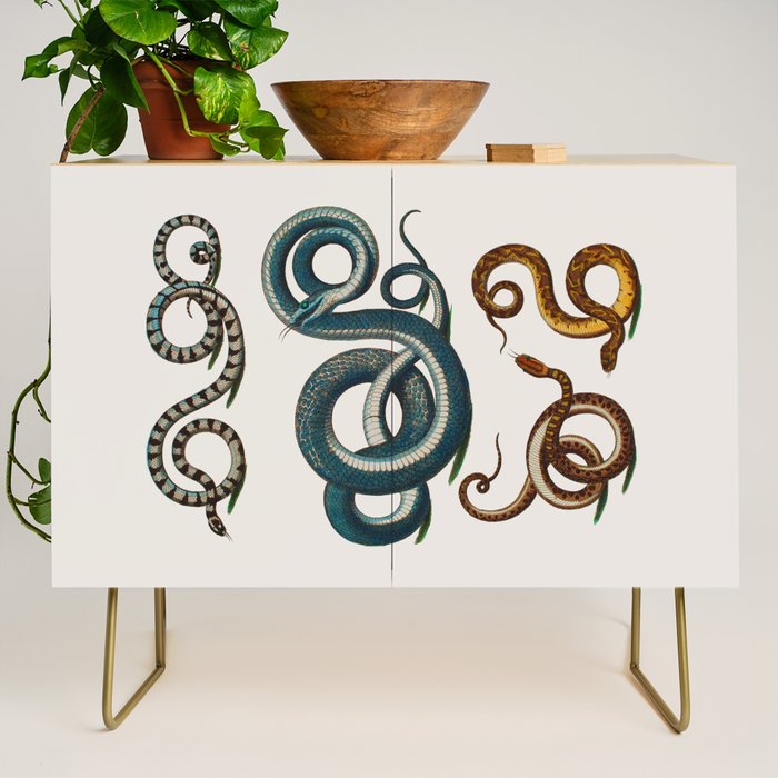 Albertus Seba Coiled Big Blue  Credenza Gallery Image 1