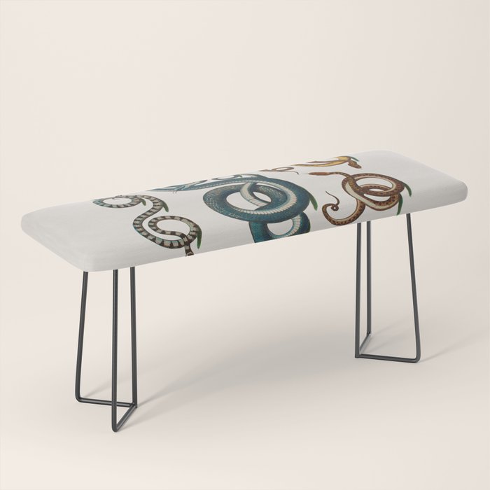 Albertus Seba Coiled Big Blue  Bench Gallery Image 1