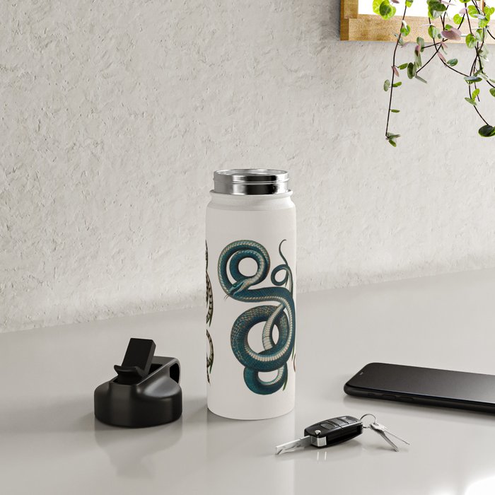 Albertus Seba Coiled Big Blue  Water Bottle Gallery Image 4
