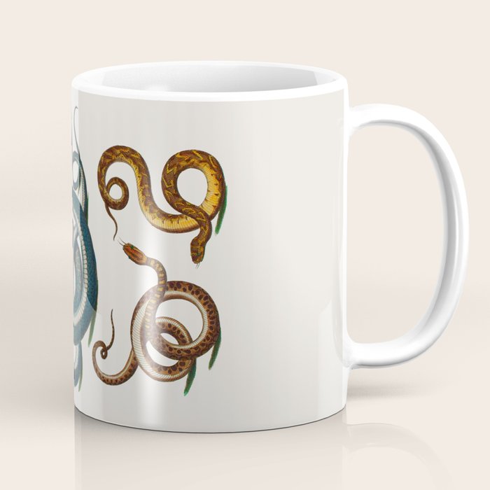 Albertus Seba Coiled Big Blue  Coffee Mug Gallery Image 1