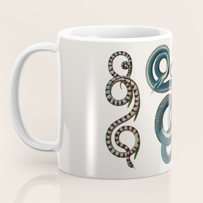Albertus Seba Coiled Big Blue  Coffee Mug Gallery Image 3
