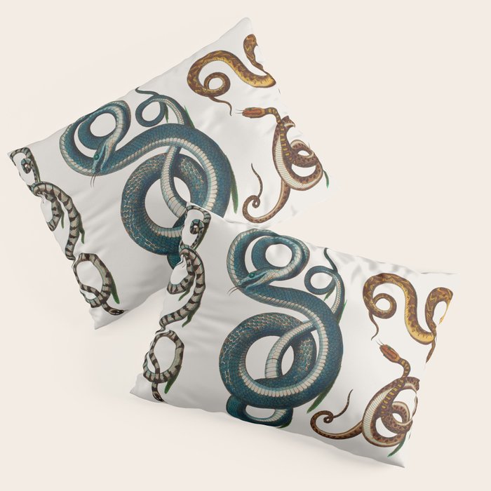 Albertus Seba Coiled Big Blue  Pillow Sham Gallery Image 1