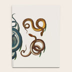 Albertus Seba Coiled Big Blue  Notebook Gallery Image 4