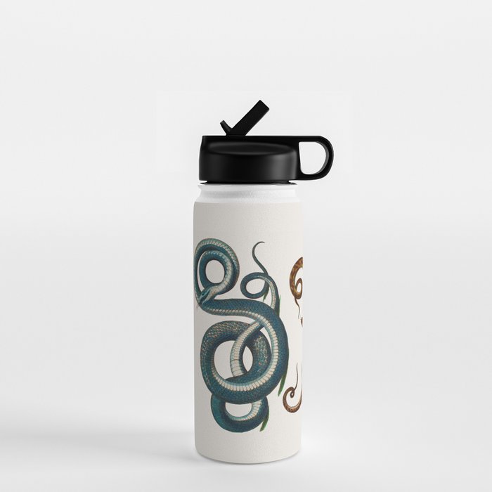 Albertus Seba Coiled Big Blue  Water Bottle Gallery Image 1