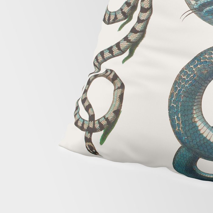 Albertus Seba Coiled Big Blue  Pillow Sham Gallery Image 4