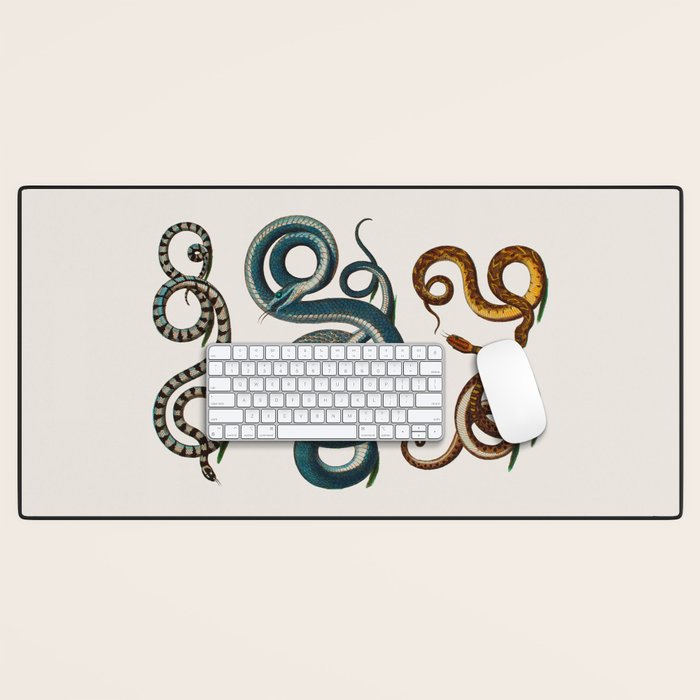 Albertus Seba Coiled Big Blue  Desk Mat Gallery Image 1