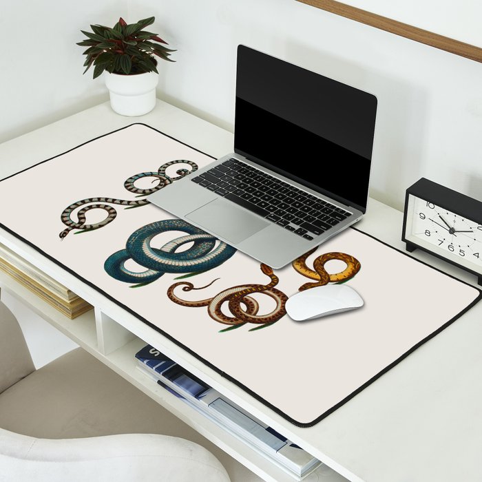 Albertus Seba Coiled Big Blue  Desk Mat Gallery Image 2