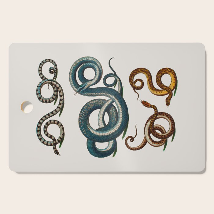 Albertus Seba Coiled Big Blue  Cutting Board Gallery Image 1