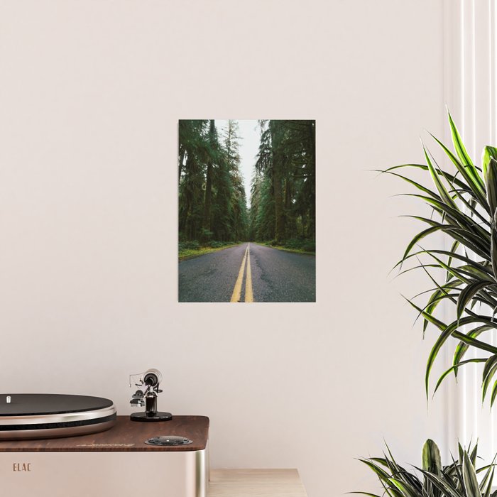 Pacific Northwest Rainforest Drive Poster Gallery Image 2