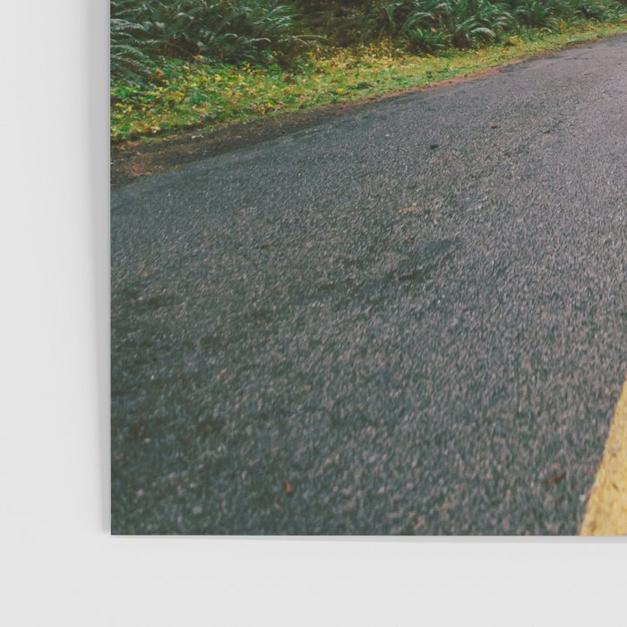 Pacific Northwest Rainforest Drive Poster Gallery Image 3