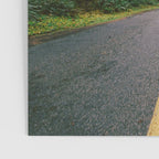 Pacific Northwest Rainforest Drive Poster Gallery Image 3