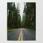 Pacific Northwest Rainforest Drive Poster Gallery Image 4