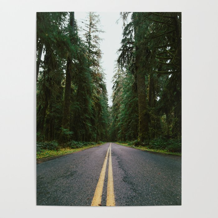Pacific Northwest Rainforest Drive Poster Gallery Image 4