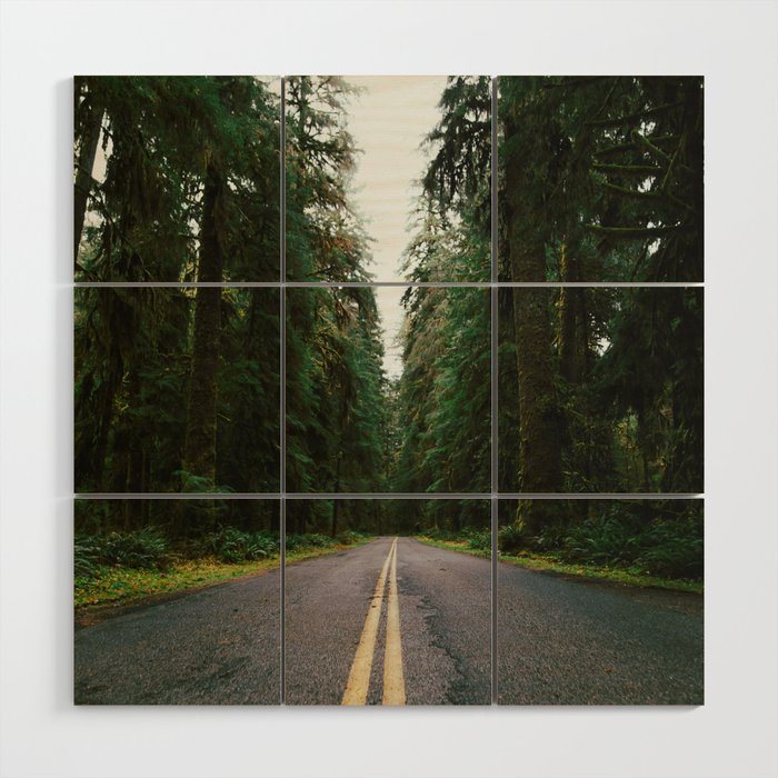 Pacific Northwest Rainforest Drive Wood Wall Art Gallery Image 1