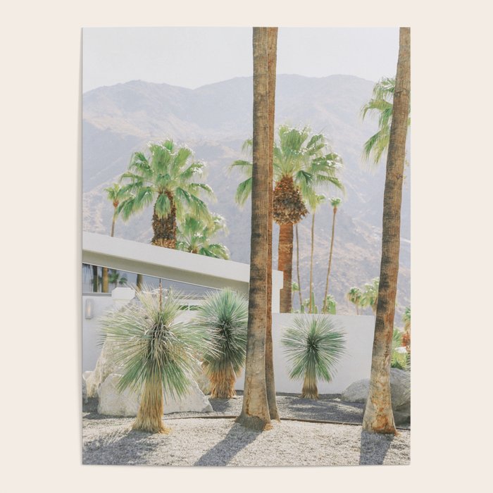 Palm Springs Palms Poster Gallery Image 4