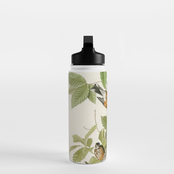 American Robin - John James Audubon Birds of America Water Bottle Gallery Image 3