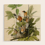 American Robin - John James Audubon Birds of America Wood Wall Art Gallery Image 1