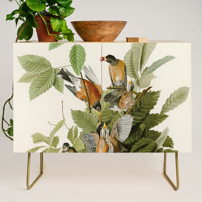 American Robin - John James Audubon Birds of America Credenza Gallery Image 1