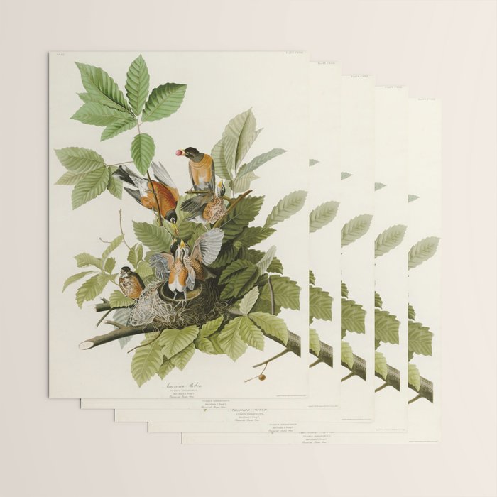 American Robin - John James Audubon Birds of America Wrapping Paper Gallery Image 3