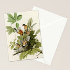 American Robin - John James Audubon Birds of America Stationery Card Gallery Image 2