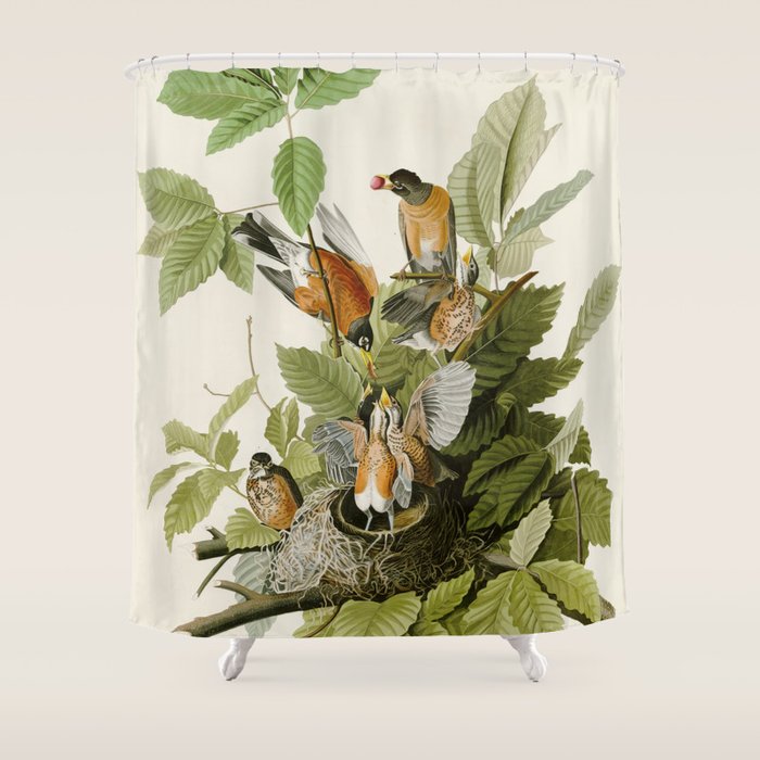 American Robin - John James Audubon Birds of America Shower Curtain Gallery Image 1