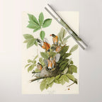 American Robin - John James Audubon Birds of America Wrapping Paper Gallery Image 1