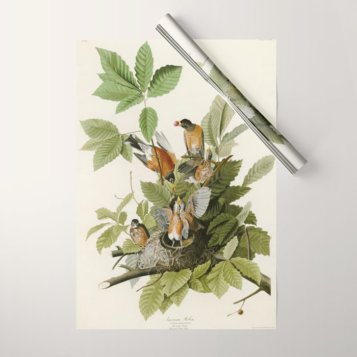 American Robin - John James Audubon Birds of America Wrapping Paper Gallery Image 1