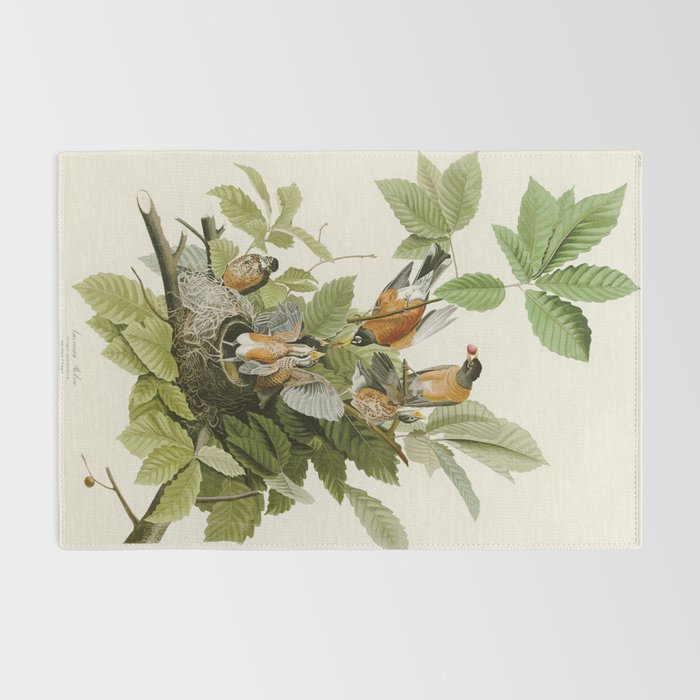 American Robin - John James Audubon Birds of America Rug Gallery Image 2