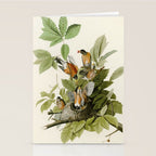American Robin - John James Audubon Birds of America Stationery Card Gallery Image 2