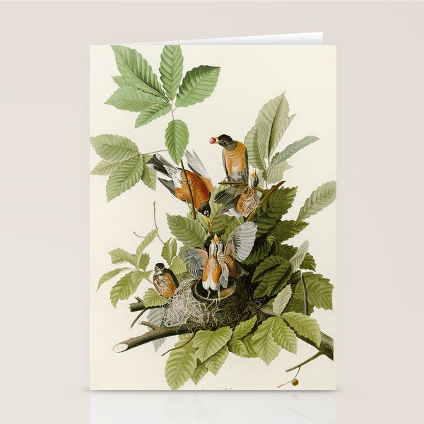 American Robin - John James Audubon Birds of America Stationery Card Gallery Image 1