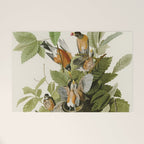 American Robin - John James Audubon Birds of America Welcome Mat Gallery Image 1