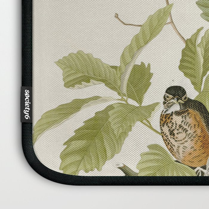 American Robin - John James Audubon Birds of America Laptop Sleeve Gallery Image 3