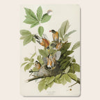 American Robin - John James Audubon Birds of America Cutting Board Gallery Image 1