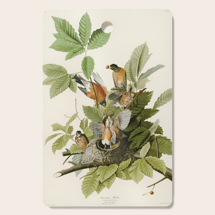 American Robin - John James Audubon Birds of America Cutting Board Gallery Image 1