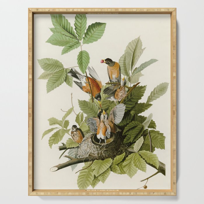 American Robin - John James Audubon Birds of America Serving Tray Gallery Image 1