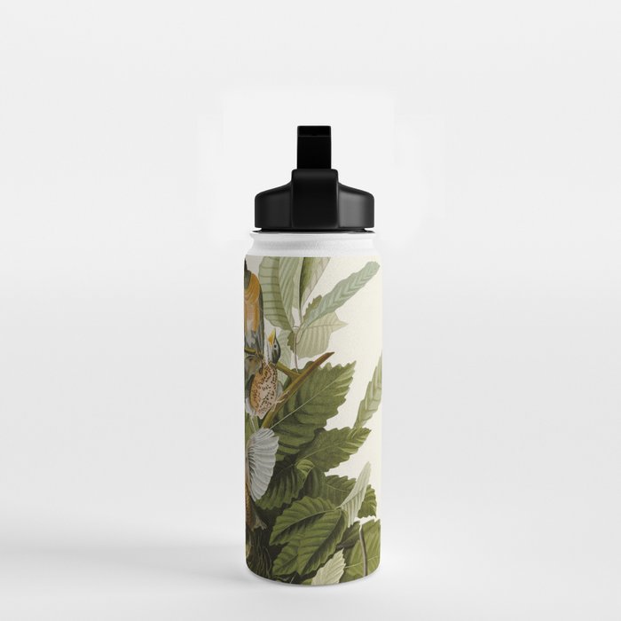American Robin - John James Audubon Birds of America Water Bottle Gallery Image 2